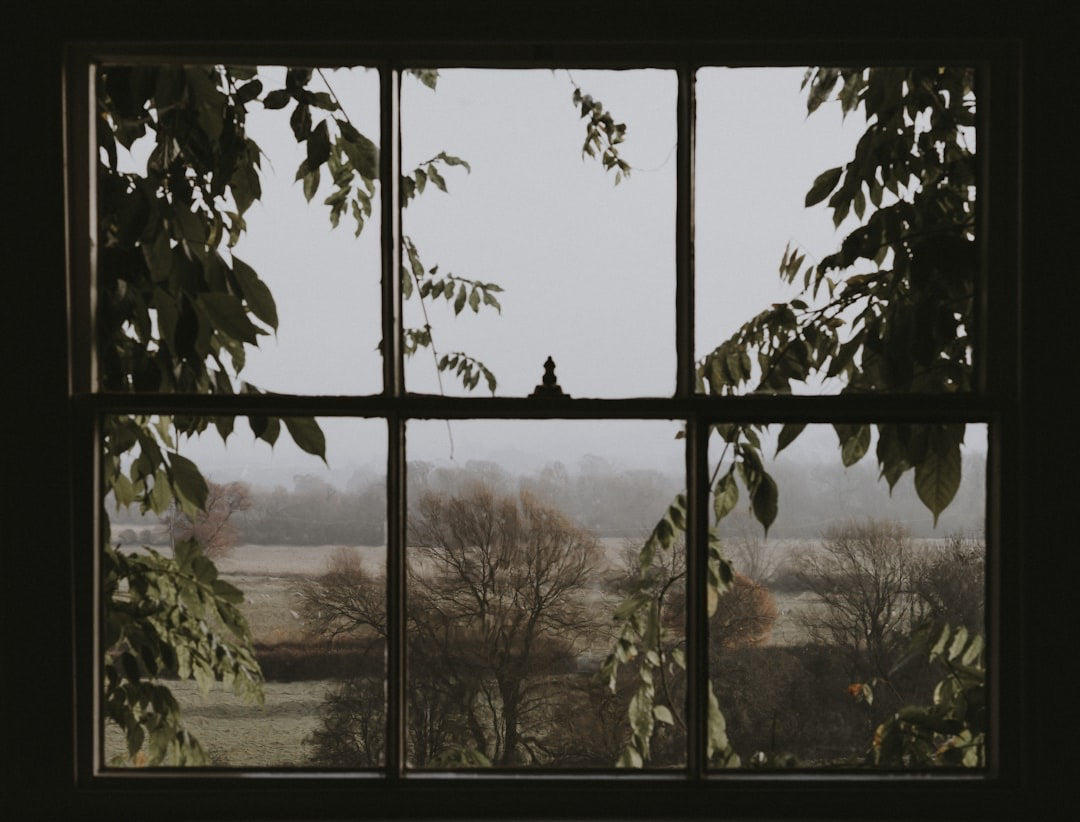 A dim room interior looking out through a six-pane window at trees and a misty field in the distance