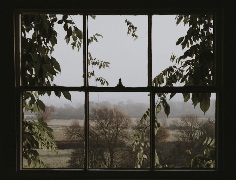 A dim room interior looking out through a six-pane window at trees and a misty field in the distance